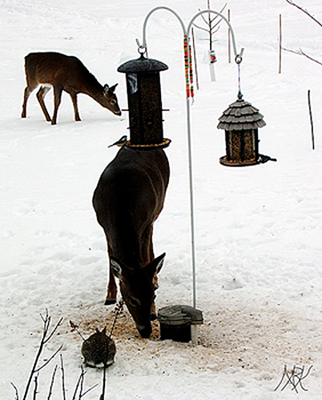 In Our Neighborhood/